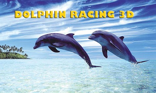 download Dolphin racing 3D apk